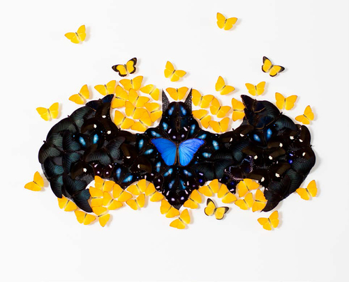 Batman Butterfly White