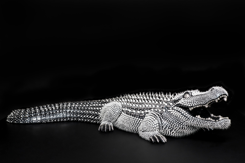 Crocodile Noir Nacre, 2020 (3,20m)