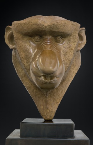 Nasique singe