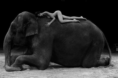 Beautiful Eva & the elephant