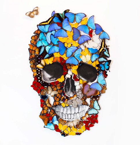 Butterfly Skull Face Trip