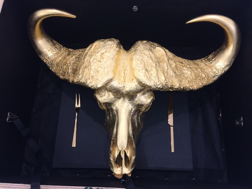 Cape Buffalo