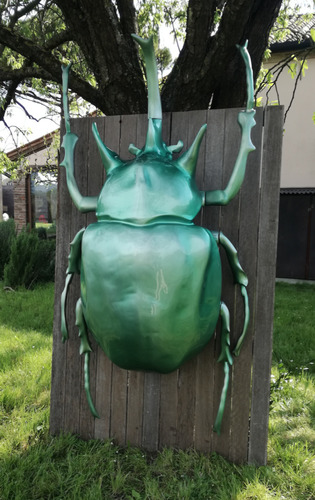 Coleottero Fiberglass