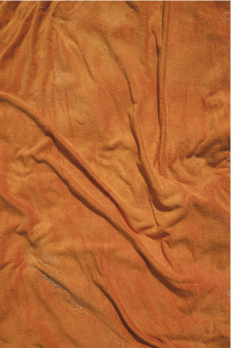 Empreinte (The Imprint) Orange n°7, 2010
