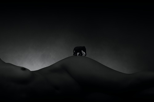 L'elephant de Valou