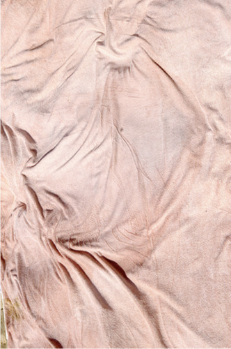 Empreinte (The Imprint) Rose, 2010