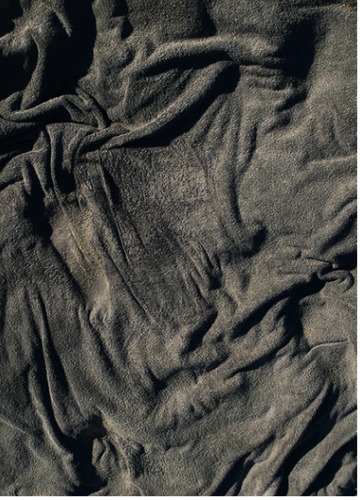 Empreinte (The Imprint) Black n° 2, 2010