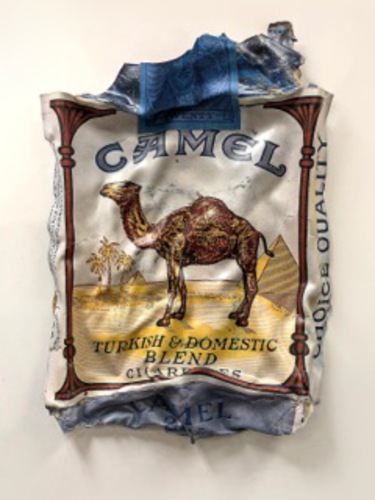 Another pack of Camels