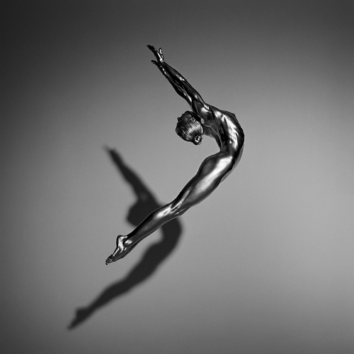 Artemis, 2008