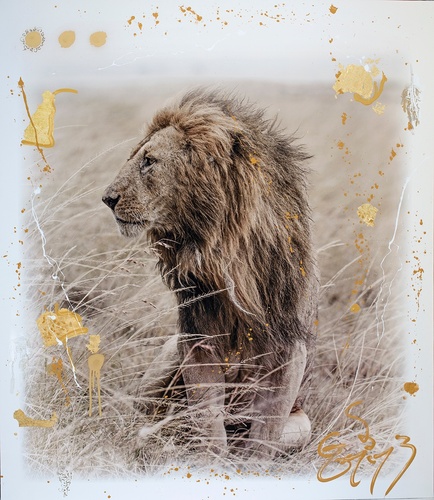 Simba Gold (132cm)