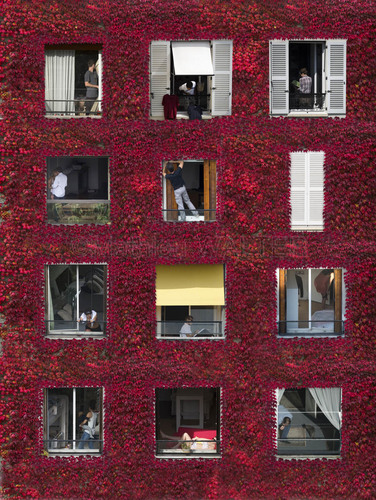 Windows - Rouge